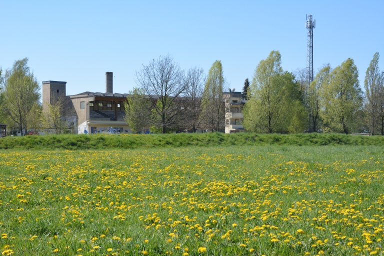 2019_04_BfGB_Ortsteile (40)
